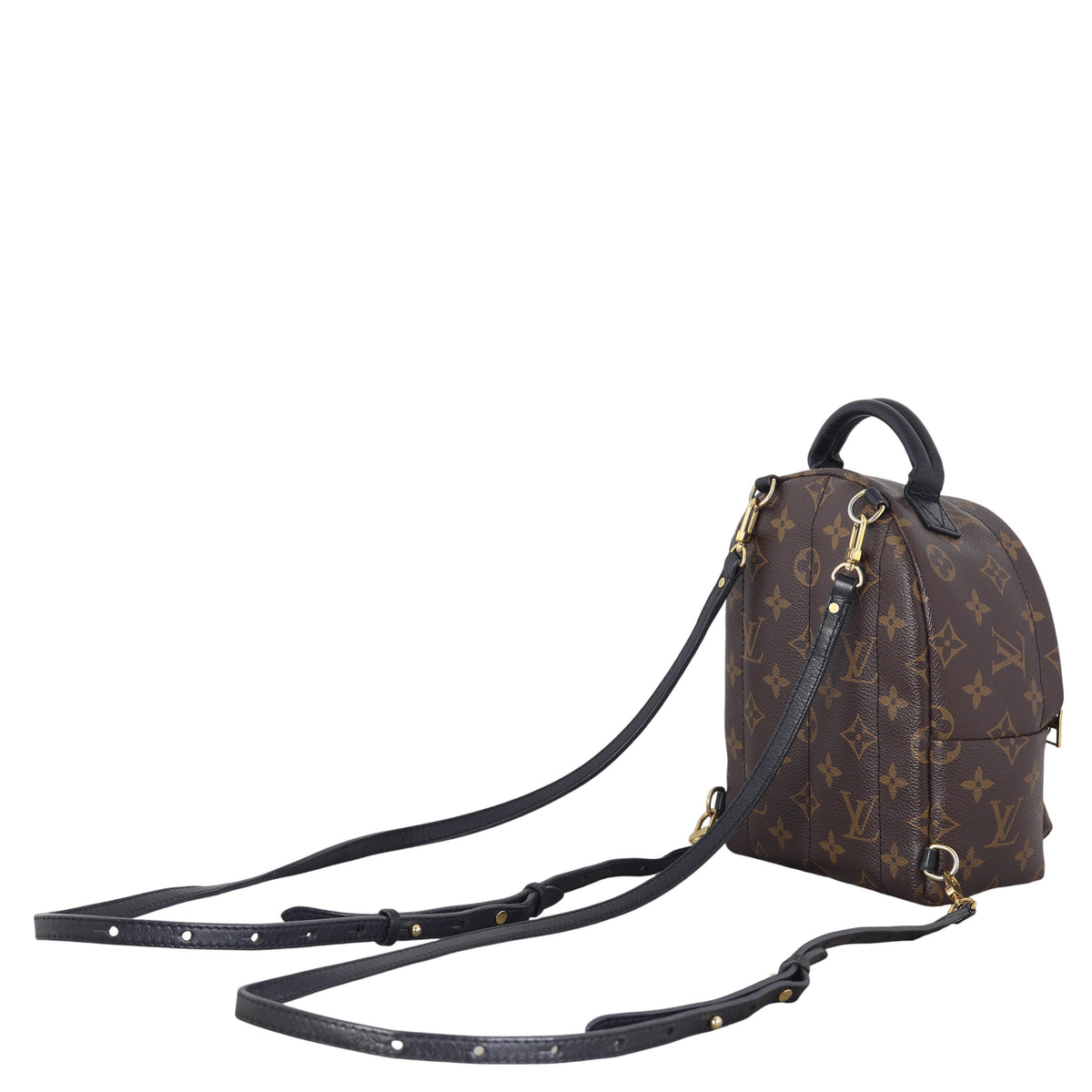 Louis Vuitton Palm Springs Mini Backpack Monogram_IMG_7741.jpeg