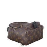 Louis Vuitton Palm Springs Mini Backpack Monogram_IMG_7742.jpeg