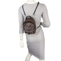 Louis Vuitton Palm Springs Mini Backpack Monogram_IMG_7794.jpeg