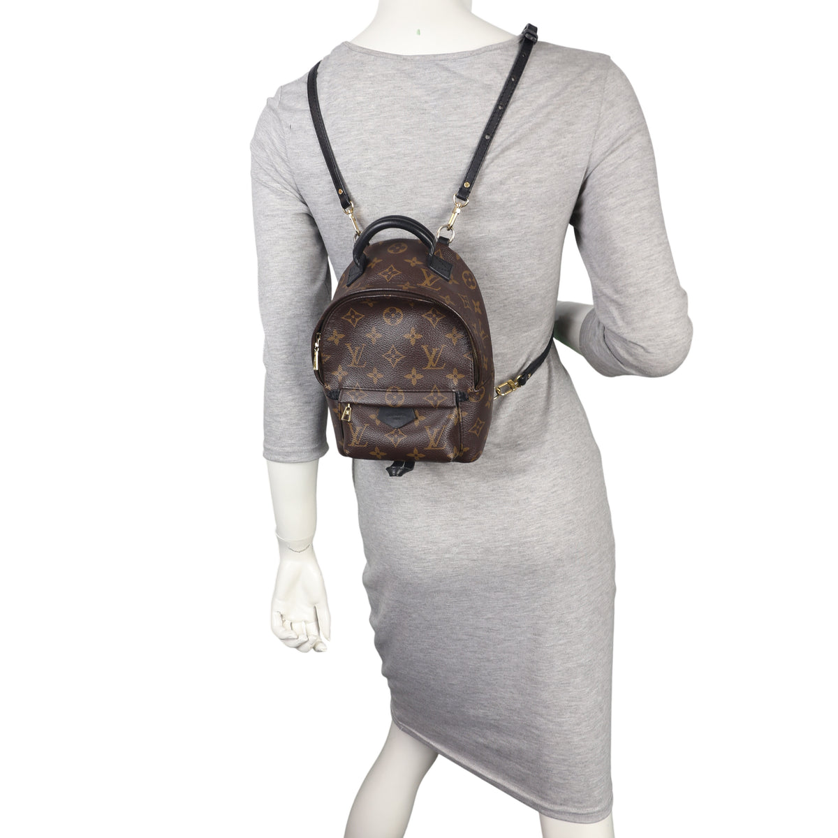 Louis Vuitton Palm Springs Mini Backpack Monogram_IMG_7794.jpeg