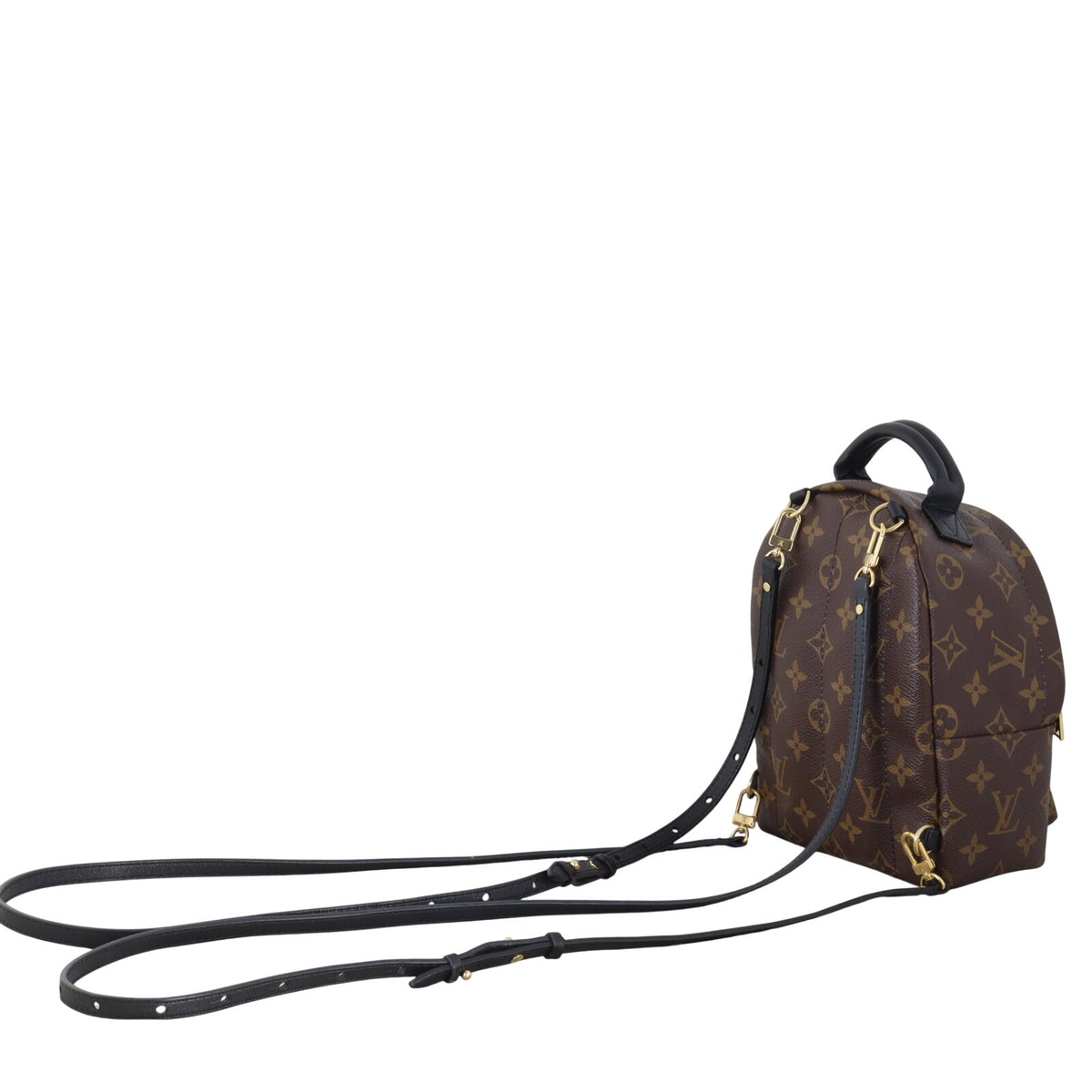 Louis Vuitton Palm Springs Mini Backpack Monogram_IMG_9979.jpeg