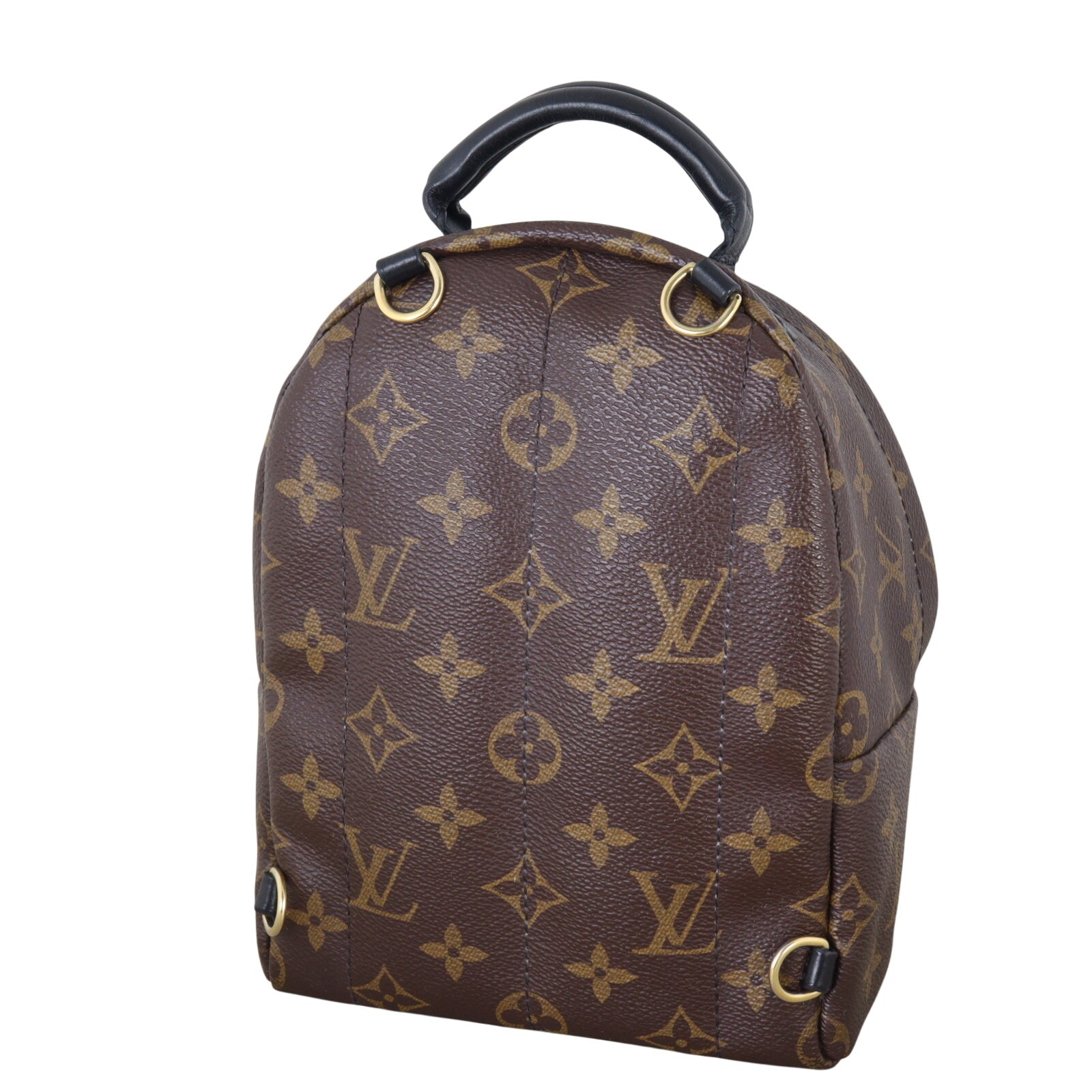 Louis Vuitton Palm Springs Mini Backpack Monogram_IMG_9980.jpeg