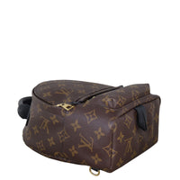 Louis Vuitton Palm Springs Mini Backpack Monogram_IMG_9981.jpeg
