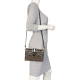 Louis Vuitton Papillon Trunk Monogram_IMG_2718.jpeg