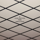 Louis Vuitton Papillon Trunk Monogram_IMG_2762.jpg