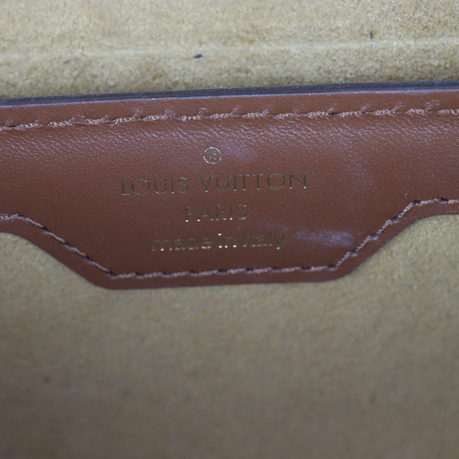 Louis Vuitton Papillon Trunk Monogram_IMG_8763.jpg