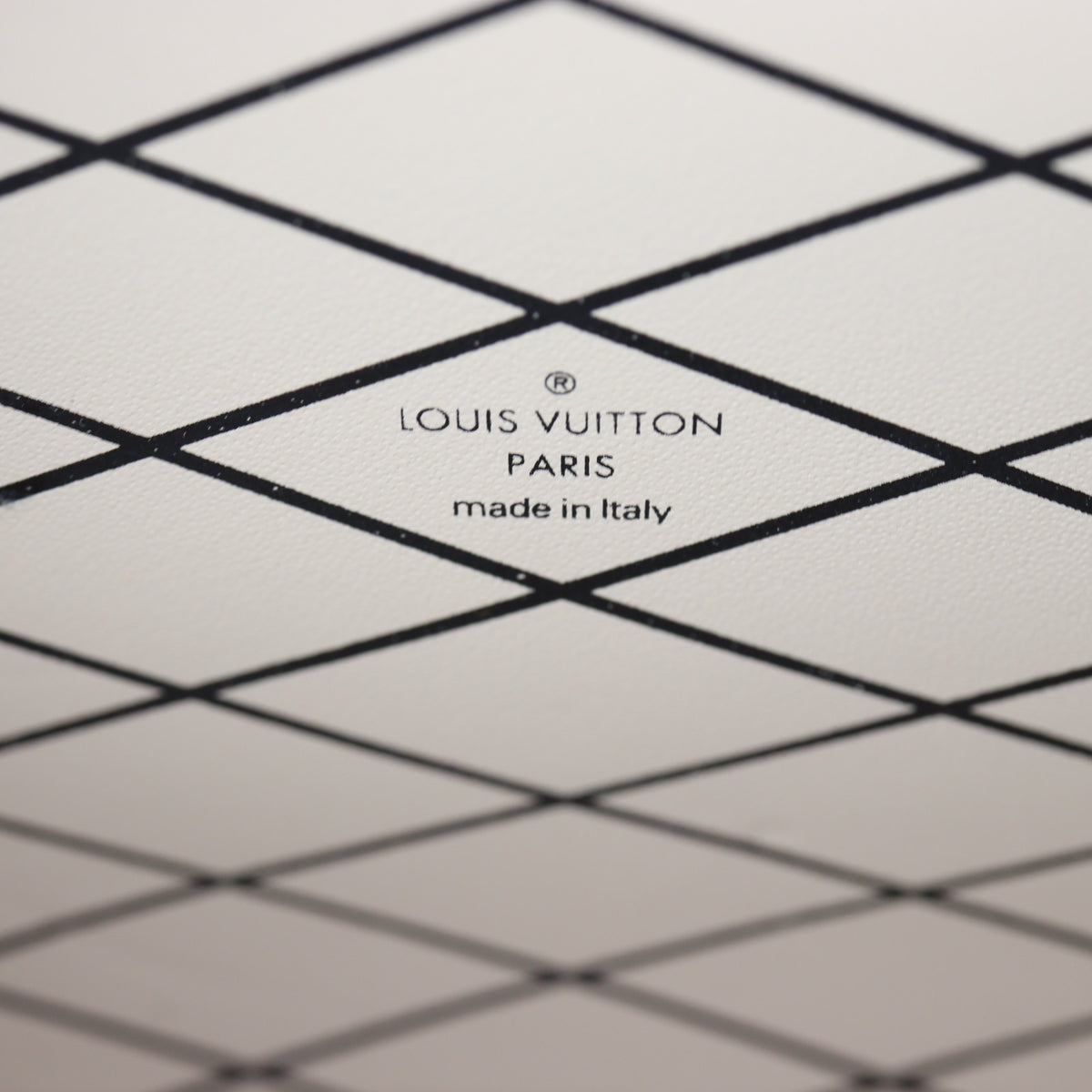 Louis Vuitton Petite Malle Lizard_IMG_2872.jpg