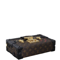 Louis Vuitton Petite Malle Monogram_IMG_0790.jpeg