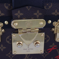 Louis Vuitton Petite Malle Monogram_IMG_0792.jpg