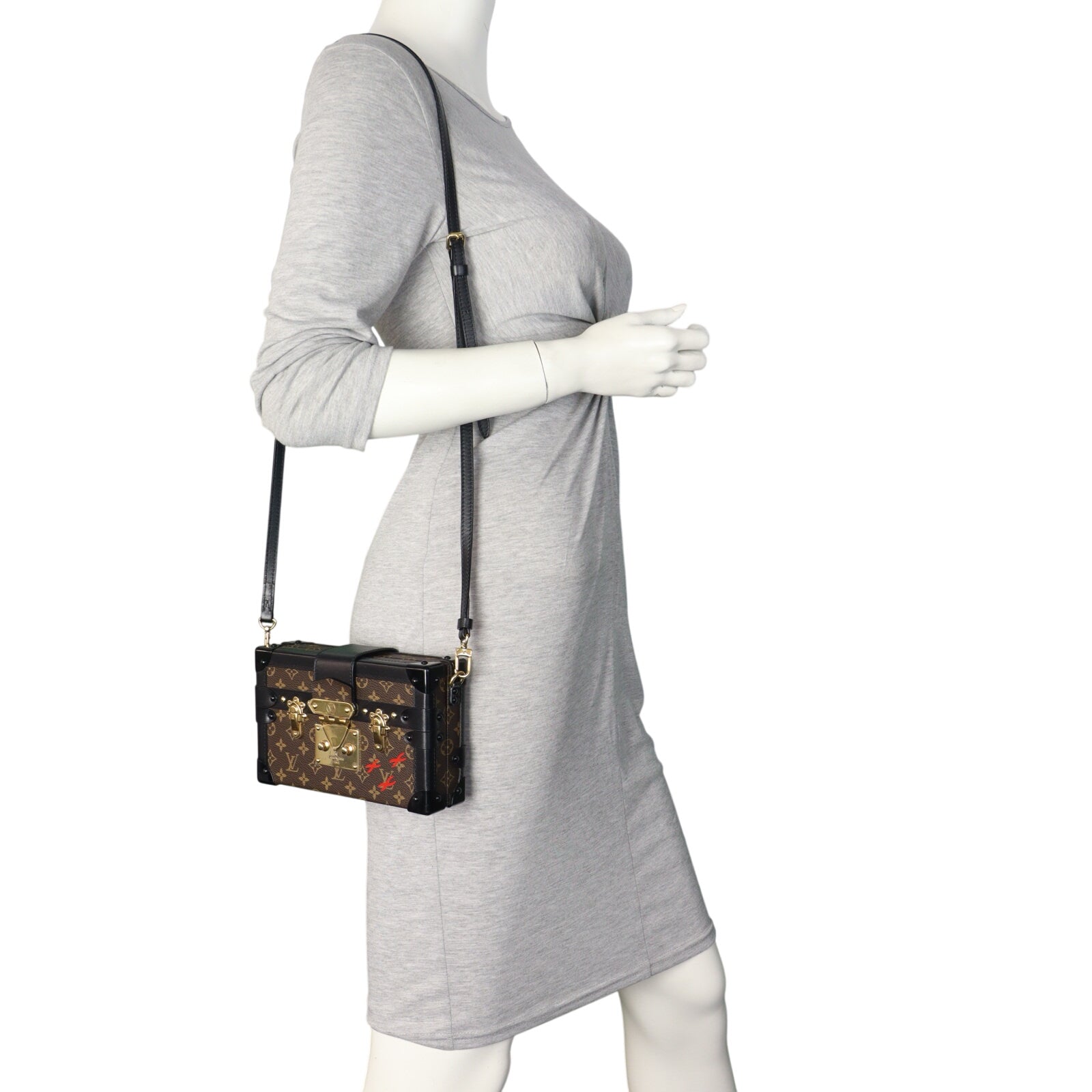 Louis Vuitton Petite Malle Monogram_IMG_1264.jpeg