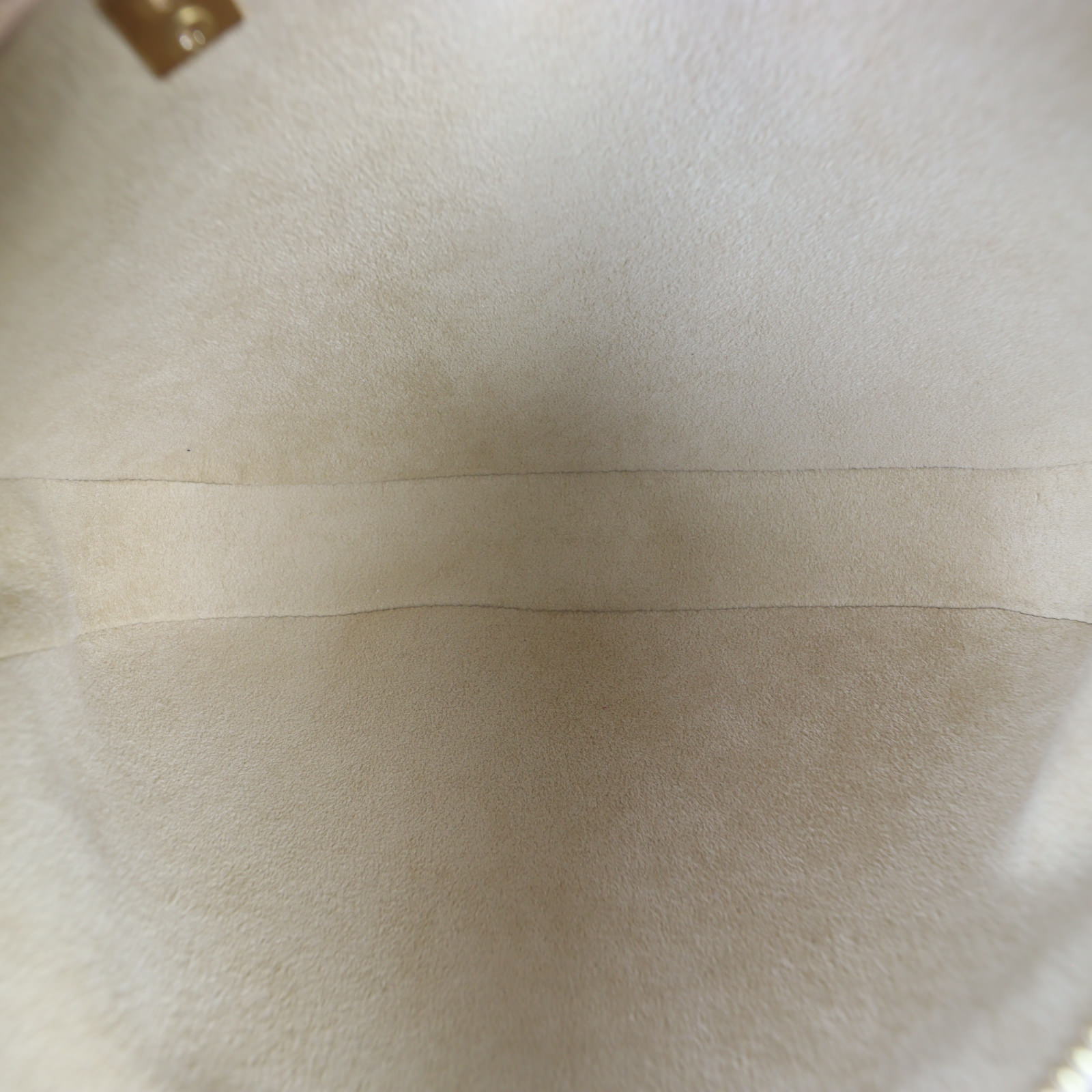 Louis Vuitton Pochette Accessoires Monogram Cherry Blossom_IMG_2735.jpg