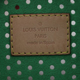 Louis Vuitton Pochette Accessoires Monogram Perforated_IMG_6538.jpg