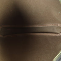 Louis Vuitton Pochette Accessoires Monogram_IMG_8739.jpg