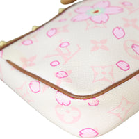 Louis Vuitton Pochette Accessories Cherry Blossom_IMG_0521.jpeg