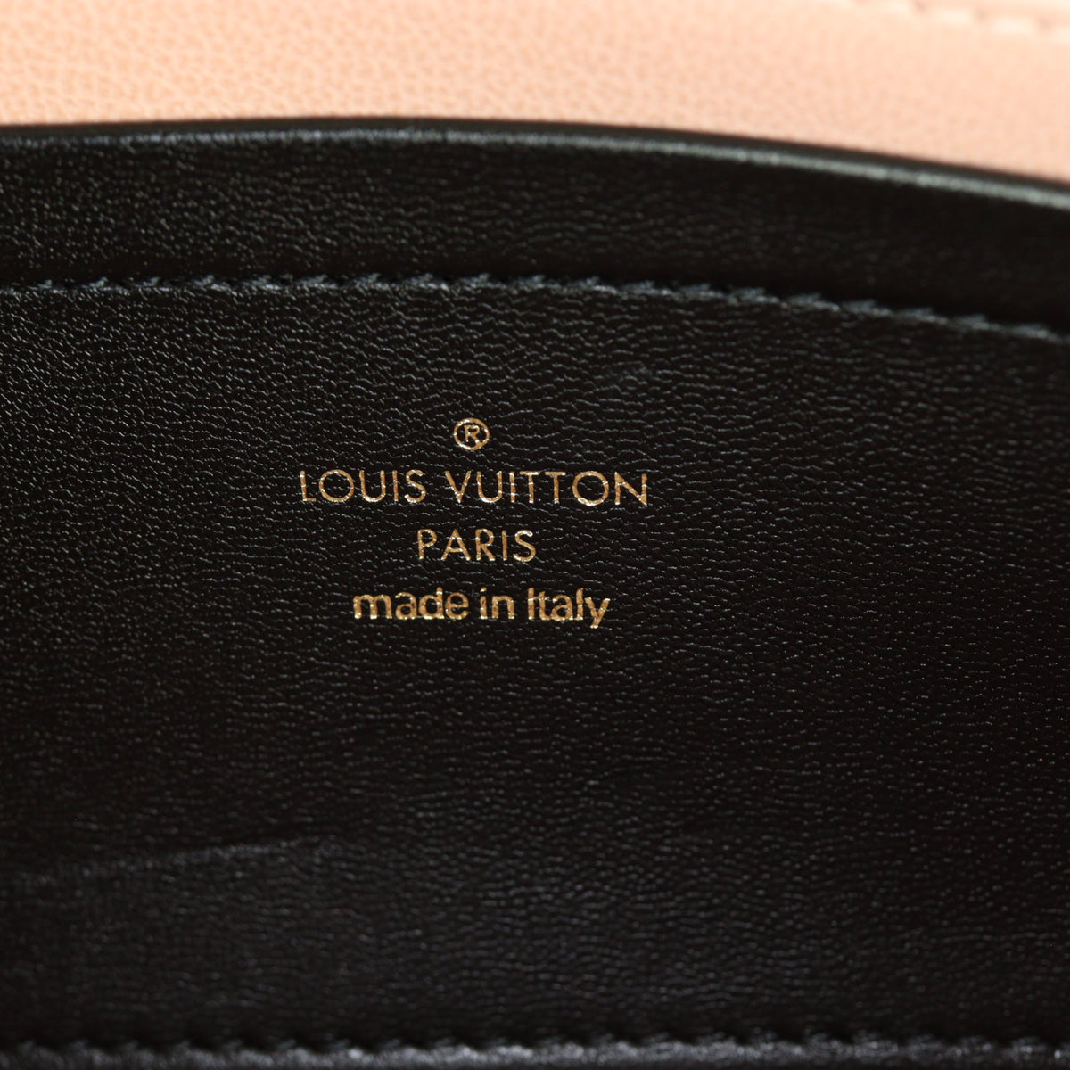 Louis Vuitton Pochette Coussin East West Monogram Embossed Lambskin_IMG_4509.jpg