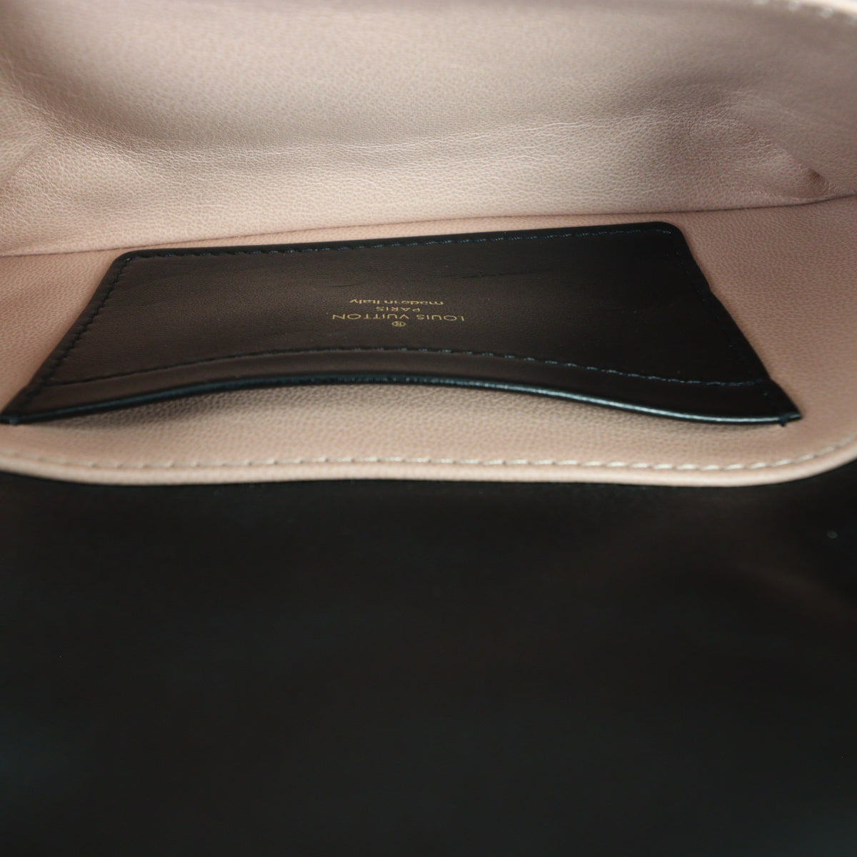 Louis Vuitton Pochette Coussin East West Monogram Embossed Lambskin_IMG_4511.jpg