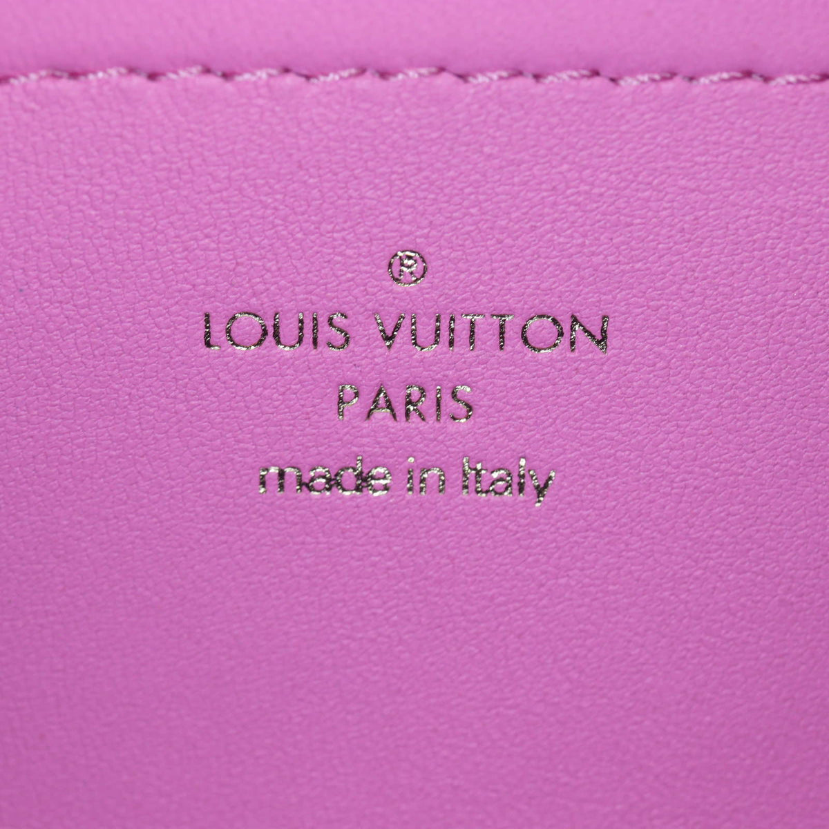 Louis Vuitton Pochette Coussin Monogram Embossed Lambskin_IMG_1608.jpg