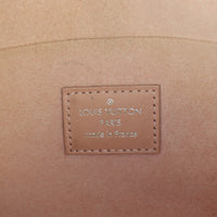 Louis Vuitton Pochette Felicie Epi (no strap)_IMG_4568.jpg