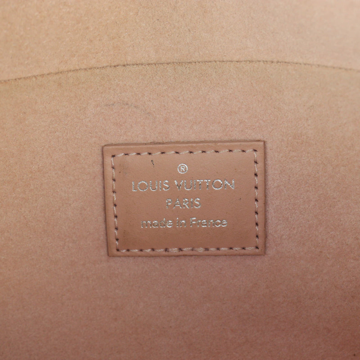 Louis Vuitton Pochette Felicie Epi (no strap)_IMG_4568.jpg