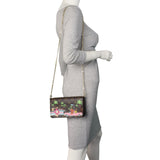 Louis Vuitton Pochette Felicie Monogram Vivienne 2021 (hot-stamped)_IMG_2904.jpeg