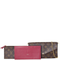 Louis Vuitton Pochette Felicie Monogram_IMG_0473.jpg