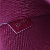 Louis Vuitton Pochette Felicie Monogram_IMG_0480.jpg