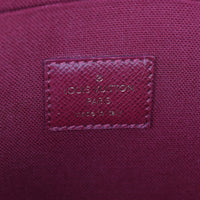 Louis Vuitton Pochette Felicie Monogram_IMG_0504.jpg