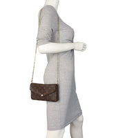 Louis Vuitton Pochette Felicie Monogram_IMG_0602.jpeg