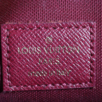 Louis Vuitton Pochette Felicie Monogram_IMG_1019.jpg