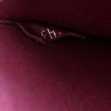 Louis Vuitton Pochette Felicie Monogram_IMG_1020.jpg