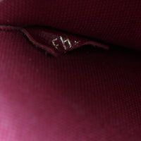 Louis Vuitton Pochette Felicie Monogram_IMG_1020.jpg