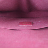 Louis Vuitton Pochette Felicie Monogram_IMG_1021.jpg