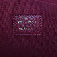 Louis Vuitton Pochette Felicie Monogram_IMG_2820.jpg