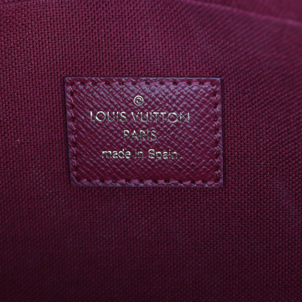 Louis Vuitton Pochette Felicie Monogram_IMG_2820.jpg