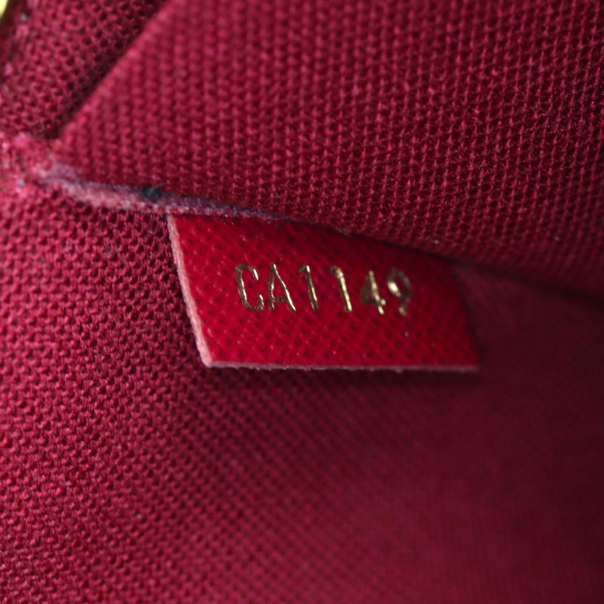 Louis Vuitton Pochette Felicie Monogram_IMG_2823.jpg