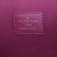 Louis Vuitton Pochette Felicie Monogram_IMG_4193.jpg