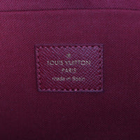 Louis Vuitton Pochette Felicie Monogram_IMG_4817.jpg