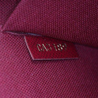 Louis Vuitton Pochette Felicie Monogram_IMG_4819.jpg