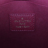 Louis Vuitton Pochette Felicie Monogram_IMG_6420.jpg