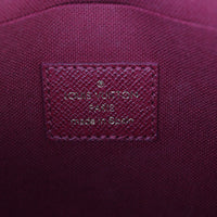 Louis Vuitton Pochette Felicie Monogram_IMG_6420.jpg