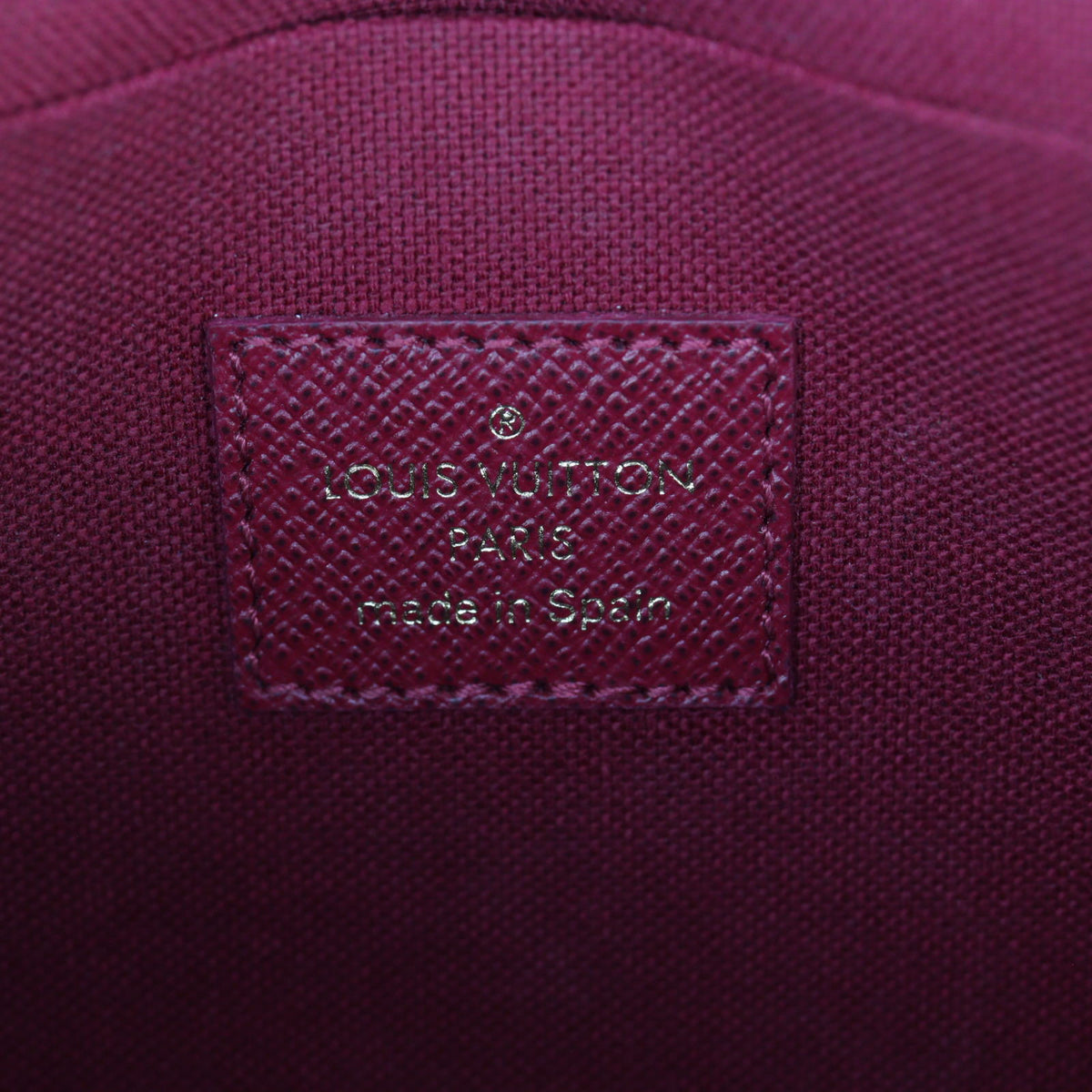 Louis Vuitton Pochette Felicie Monogram_IMG_6420.jpg