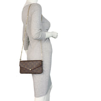 Louis Vuitton Pochette Felicie Monogram_IMG_6615.jpeg