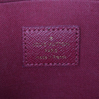 Louis Vuitton Pochette Felicie Monogram_IMG_9308.jpg