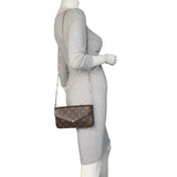 Louis Vuitton Pochette Felicie Monogram_IMG_9478.jpeg
