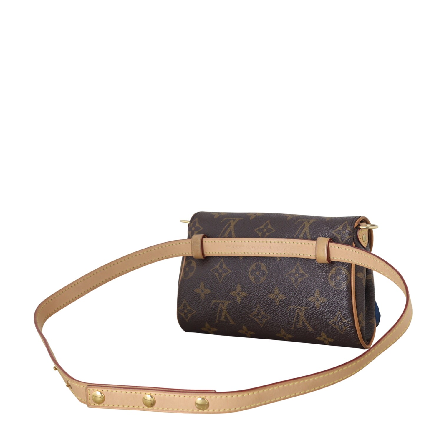 Louis Vuitton Pochette Friendly 2-Way Bag Monogram_IMG_2090.jpeg