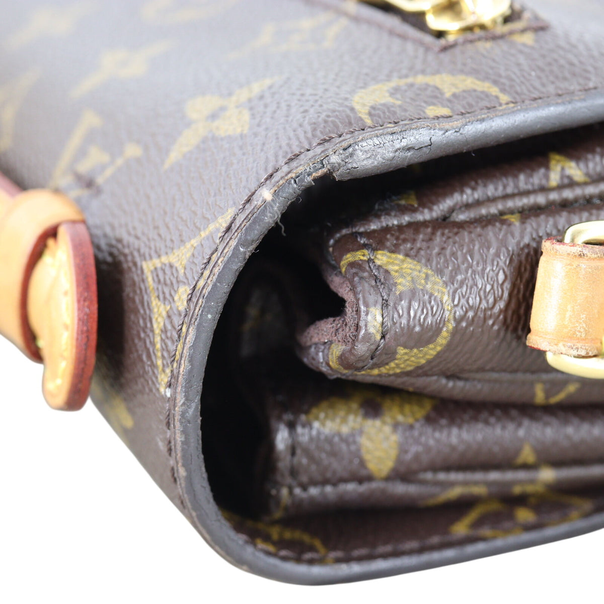 Louis Vuitton Pochette Metis Monogram_IMG_0762.jpeg