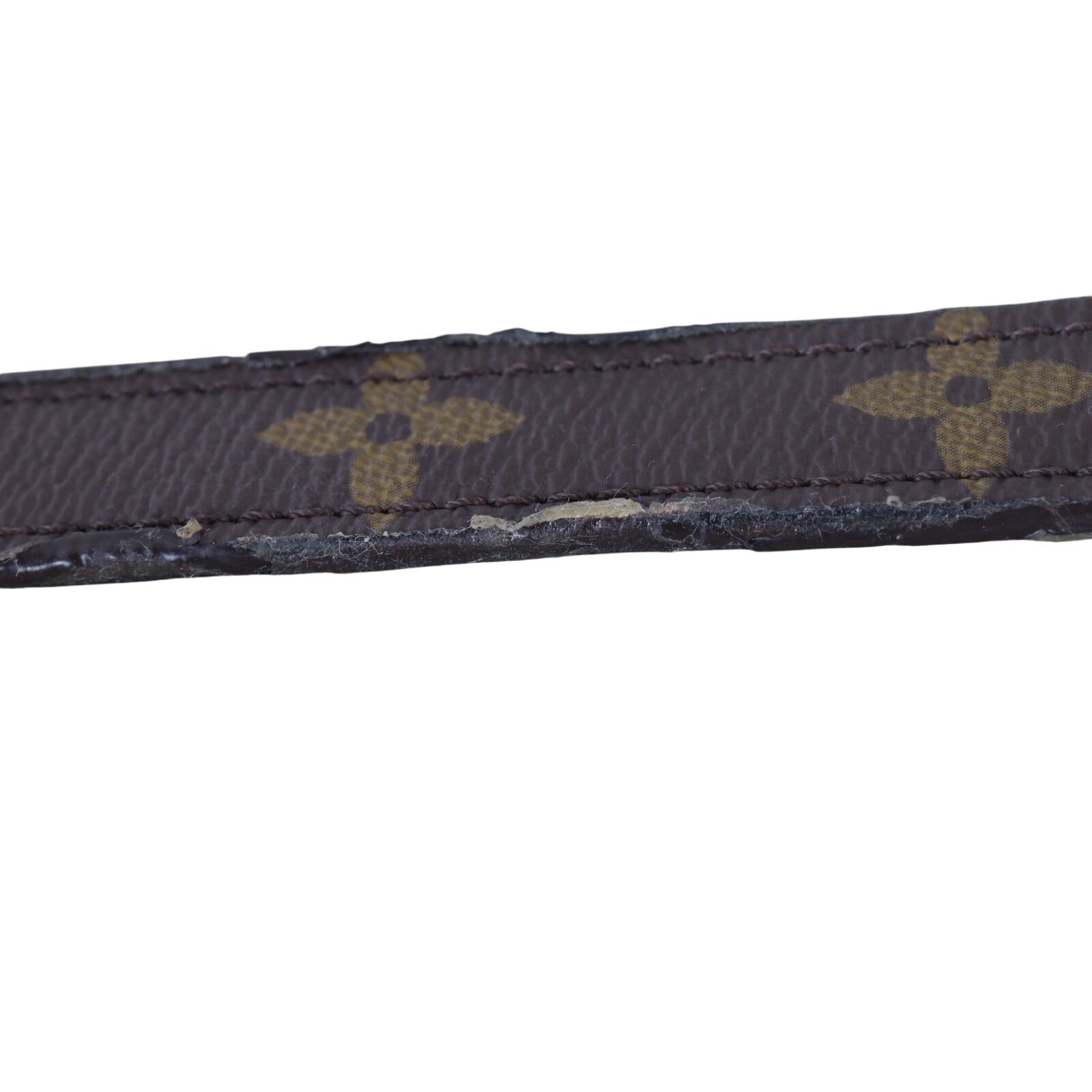 Louis Vuitton Pochette Metis Monogram_IMG_4265.jpeg