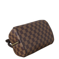 Louis Vuitton Ribera Mini Damier Ebene_IMG_5127.jpeg