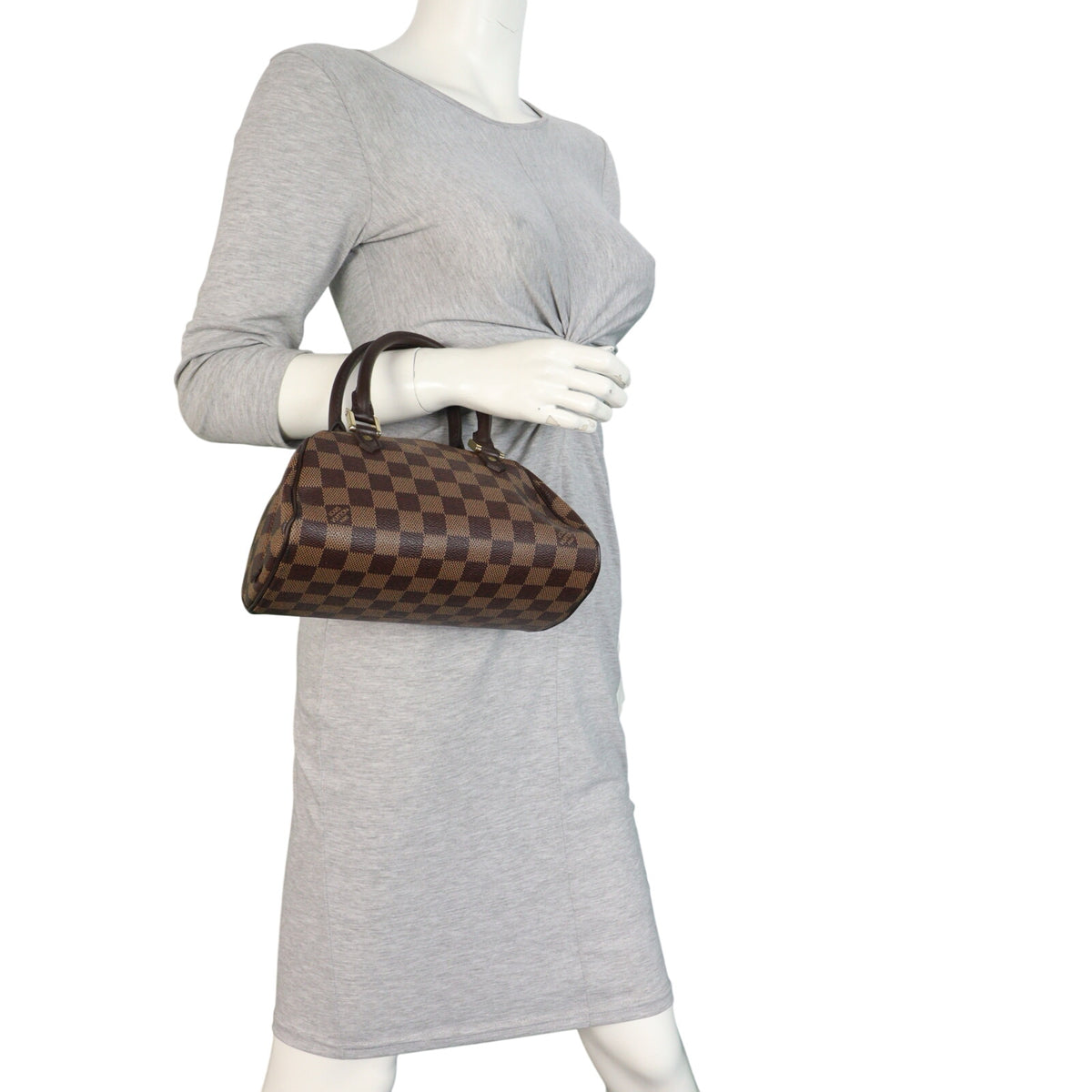 Louis Vuitton Ribera Mini Damier Ebene_IMG_5391.jpeg