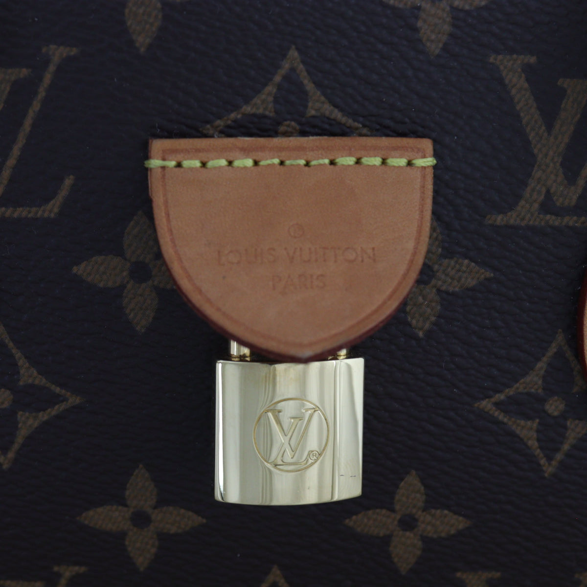 Louis Vuitton Rivoli PM Monogram_IMG_4430.jpg